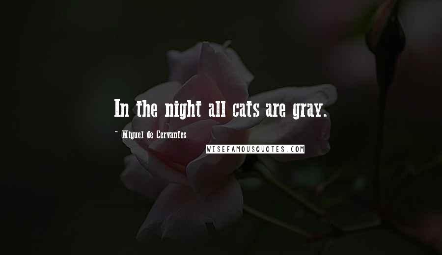 Miguel De Cervantes Quotes: In the night all cats are gray.