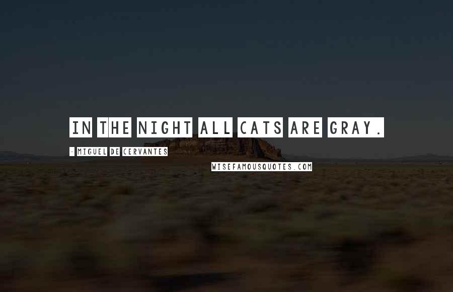 Miguel De Cervantes Quotes: In the night all cats are gray.