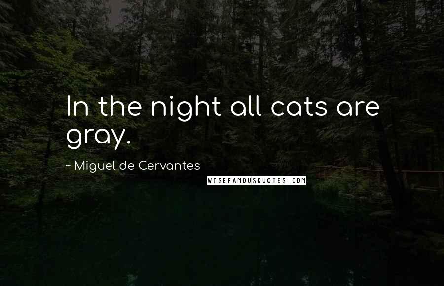 Miguel De Cervantes Quotes: In the night all cats are gray.