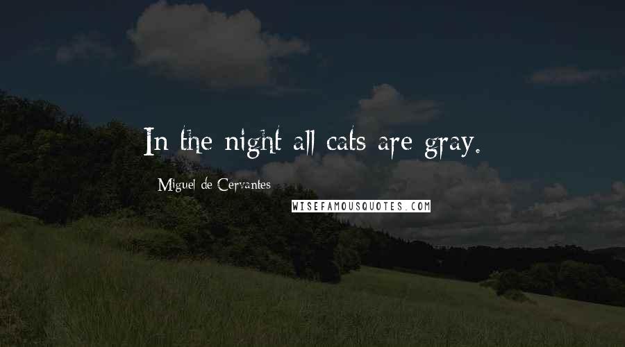 Miguel De Cervantes Quotes: In the night all cats are gray.