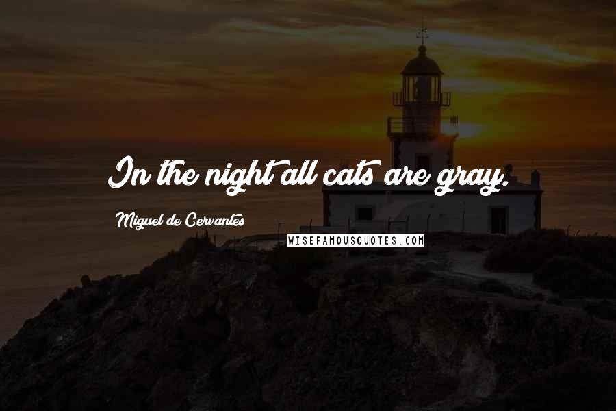 Miguel De Cervantes Quotes: In the night all cats are gray.