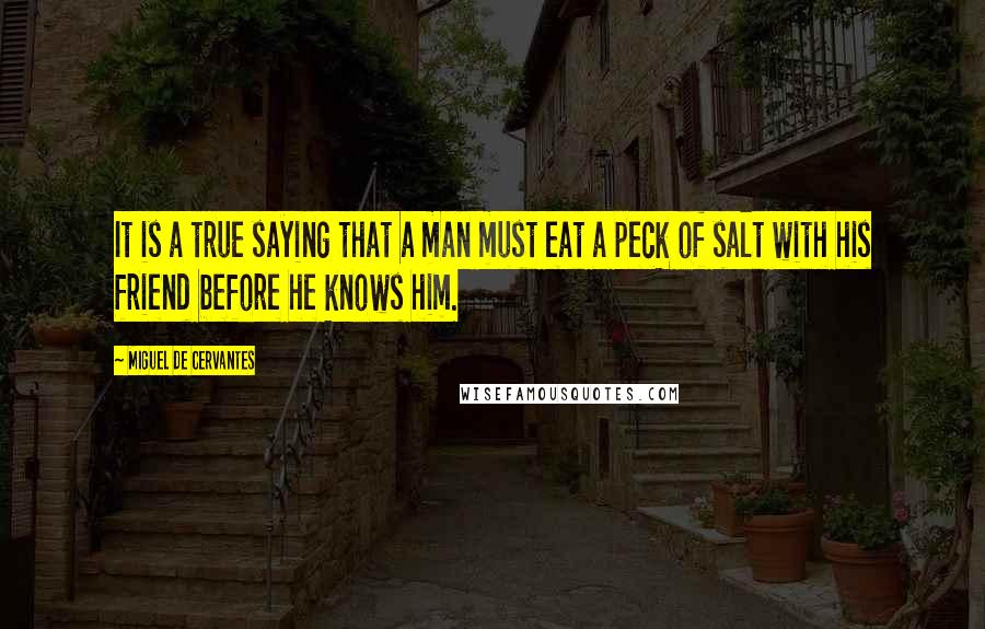 Miguel De Cervantes Quotes: It is a true saying that a man must eat a peck of salt with his friend before he knows him.