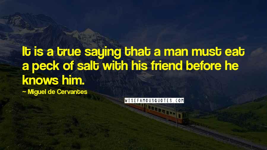 Miguel De Cervantes Quotes: It is a true saying that a man must eat a peck of salt with his friend before he knows him.