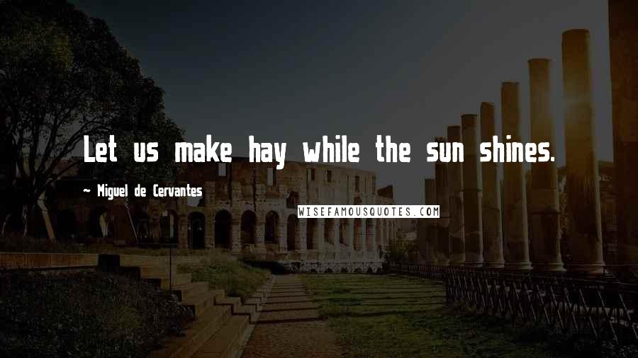 Miguel De Cervantes Quotes: Let us make hay while the sun shines.