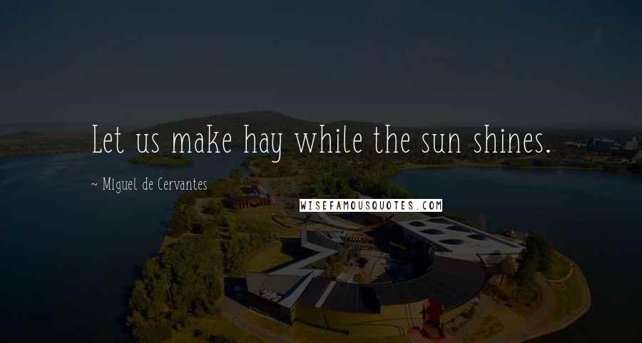 Miguel De Cervantes Quotes: Let us make hay while the sun shines.