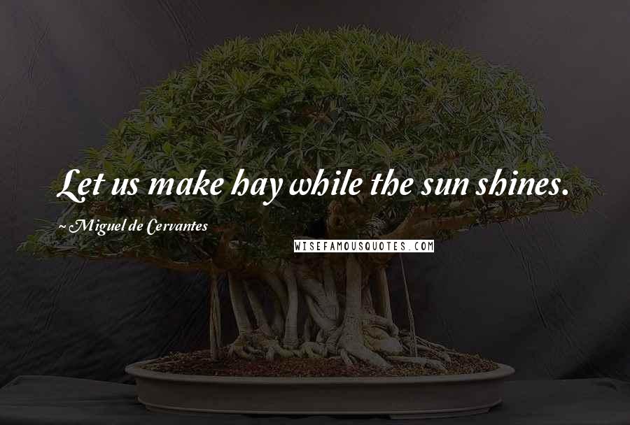 Miguel De Cervantes Quotes: Let us make hay while the sun shines.