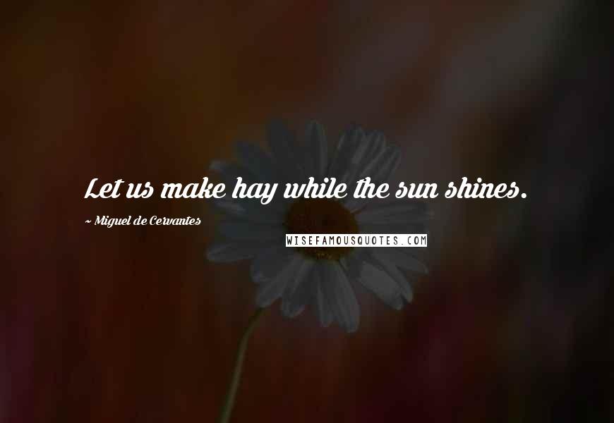 Miguel De Cervantes Quotes: Let us make hay while the sun shines.