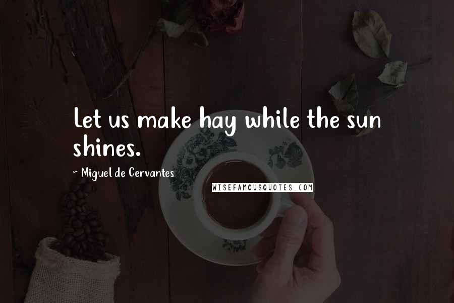 Miguel De Cervantes Quotes: Let us make hay while the sun shines.