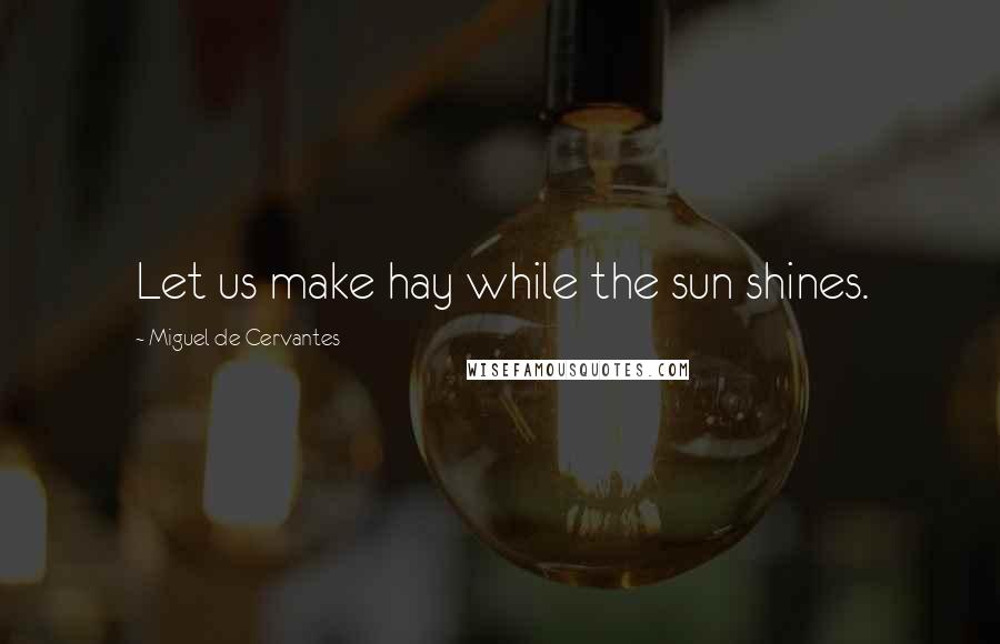 Miguel De Cervantes Quotes: Let us make hay while the sun shines.