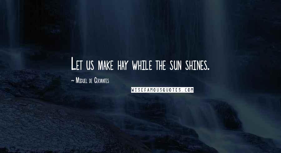 Miguel De Cervantes Quotes: Let us make hay while the sun shines.