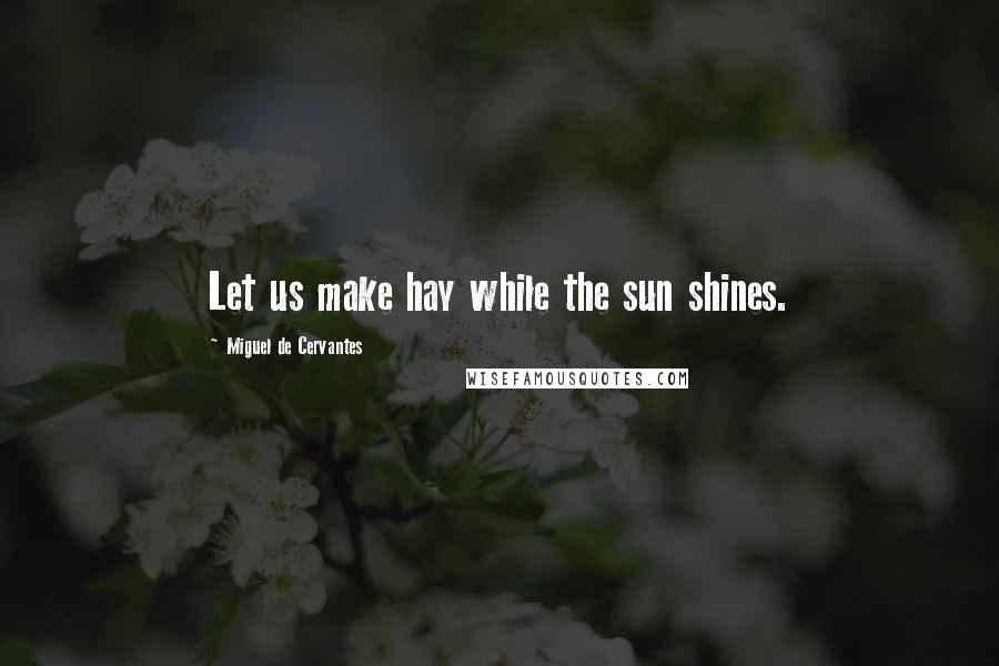 Miguel De Cervantes Quotes: Let us make hay while the sun shines.