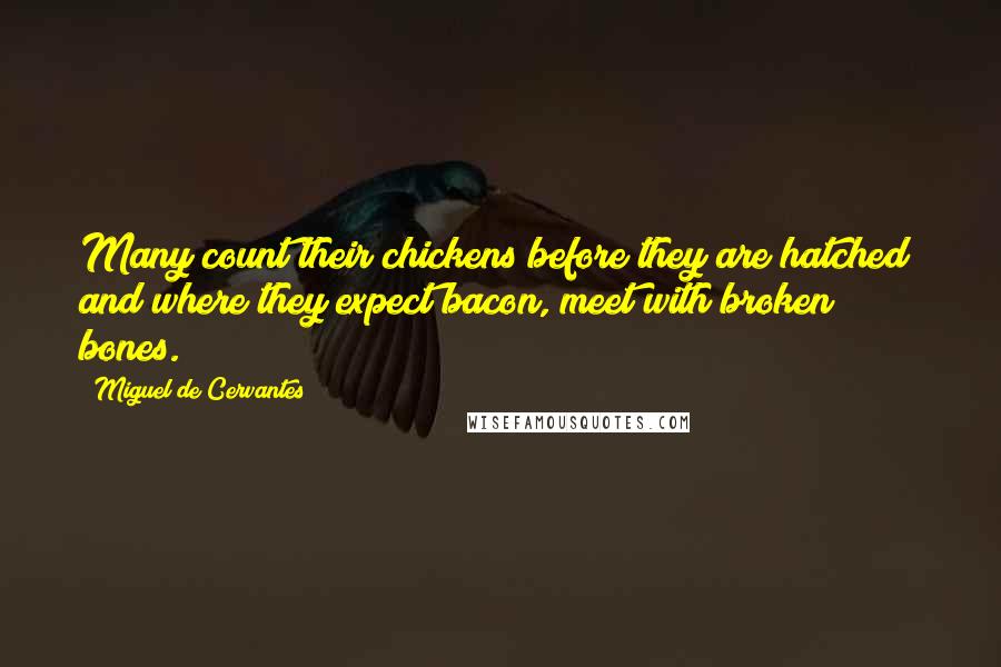 Miguel De Cervantes Quotes: Many count their chickens before they are hatched; and where they expect bacon, meet with broken bones.