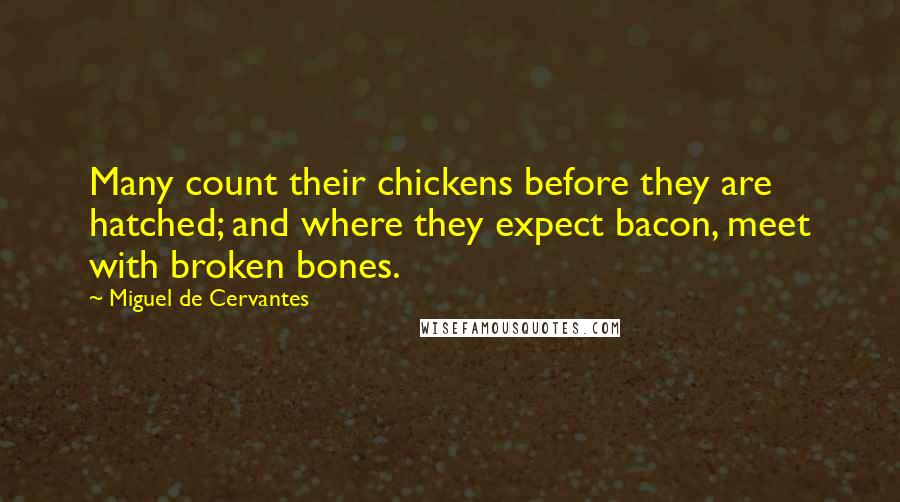 Miguel De Cervantes Quotes: Many count their chickens before they are hatched; and where they expect bacon, meet with broken bones.