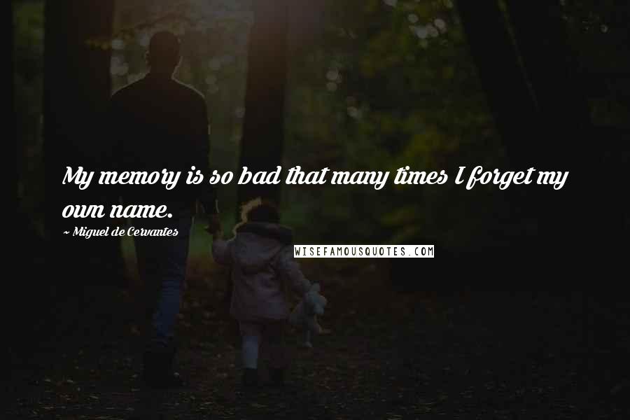 Miguel De Cervantes Quotes: My memory is so bad that many times I forget my own name.