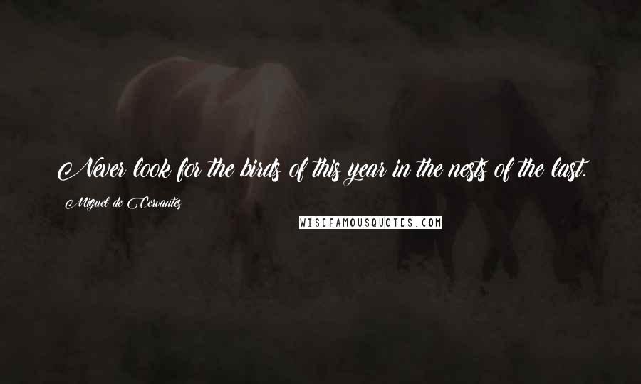 Miguel De Cervantes Quotes: Never look for the birds of this year in the nests of the last.