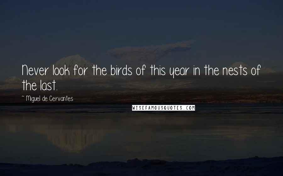 Miguel De Cervantes Quotes: Never look for the birds of this year in the nests of the last.