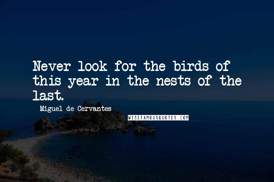 Miguel De Cervantes Quotes: Never look for the birds of this year in the nests of the last.