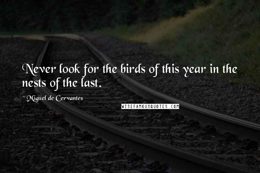 Miguel De Cervantes Quotes: Never look for the birds of this year in the nests of the last.