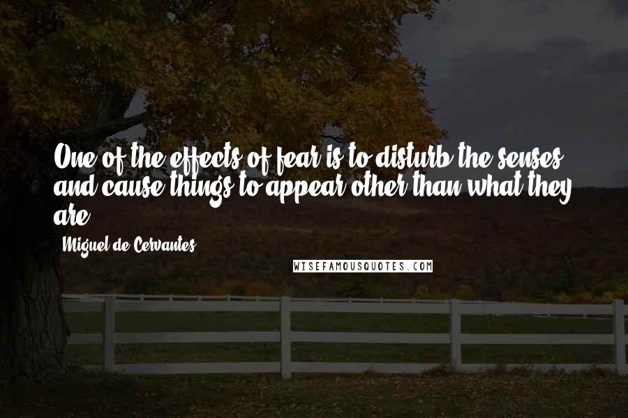 Miguel De Cervantes Quotes: One of the effects of fear is to disturb the senses and cause things to appear other than what they are.