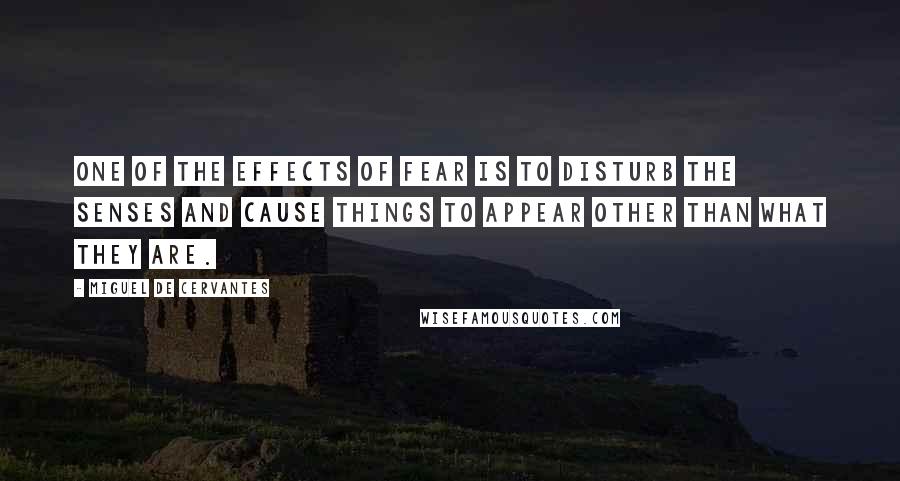 Miguel De Cervantes Quotes: One of the effects of fear is to disturb the senses and cause things to appear other than what they are.