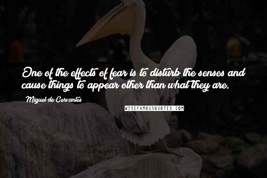 Miguel De Cervantes Quotes: One of the effects of fear is to disturb the senses and cause things to appear other than what they are.