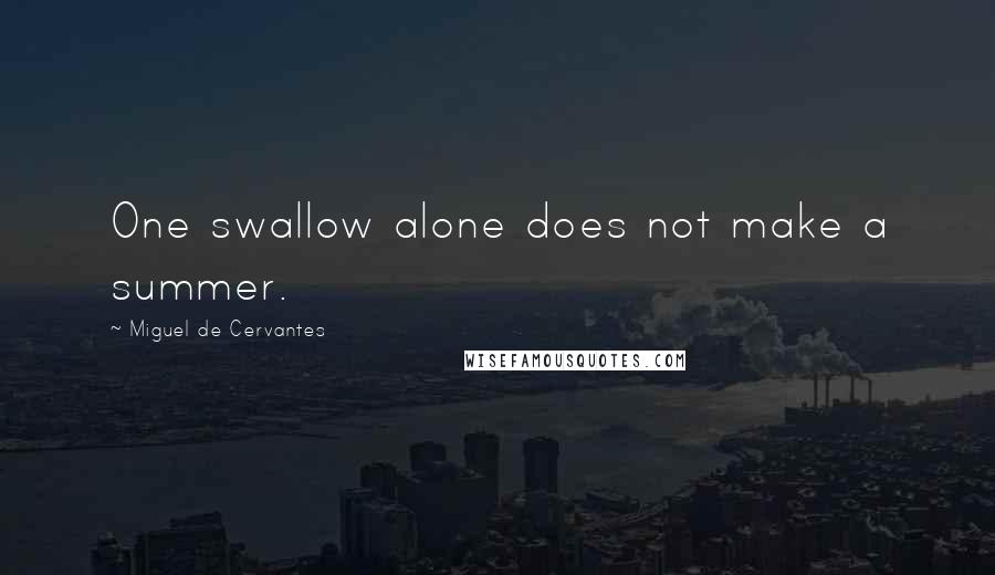 Miguel De Cervantes Quotes: One swallow alone does not make a summer.