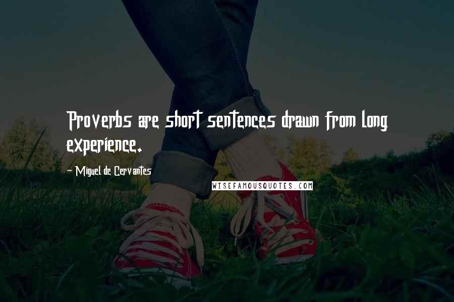 Miguel De Cervantes Quotes: Proverbs are short sentences drawn from long experience.