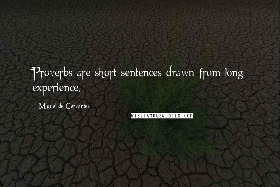 Miguel De Cervantes Quotes: Proverbs are short sentences drawn from long experience.