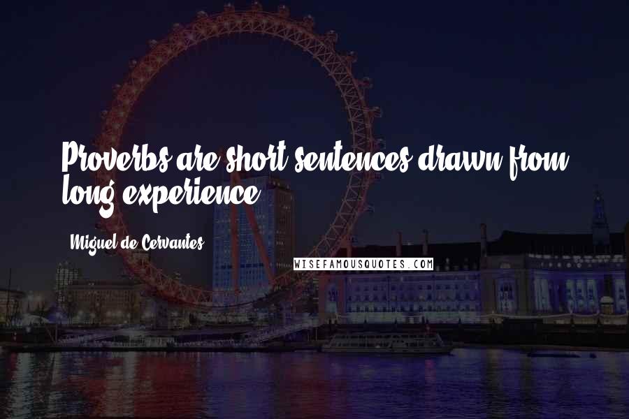 Miguel De Cervantes Quotes: Proverbs are short sentences drawn from long experience.