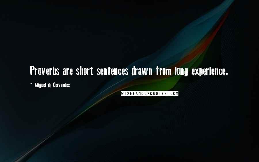 Miguel De Cervantes Quotes: Proverbs are short sentences drawn from long experience.