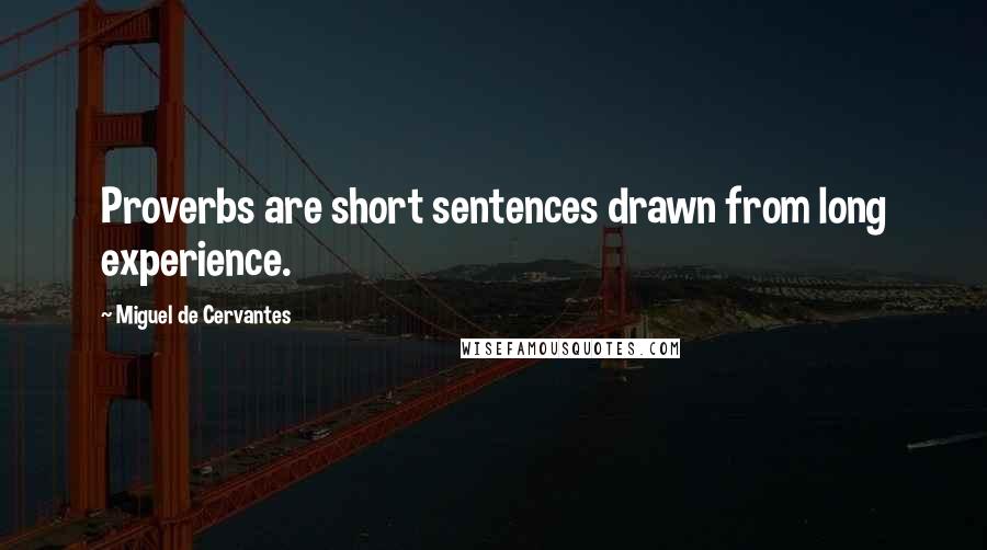 Miguel De Cervantes Quotes: Proverbs are short sentences drawn from long experience.