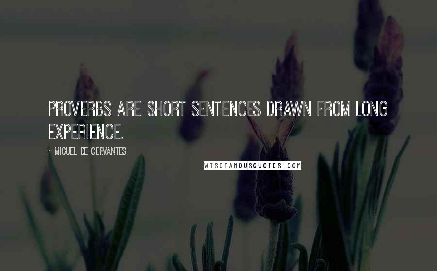 Miguel De Cervantes Quotes: Proverbs are short sentences drawn from long experience.