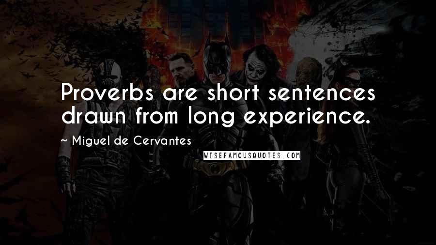 Miguel De Cervantes Quotes: Proverbs are short sentences drawn from long experience.