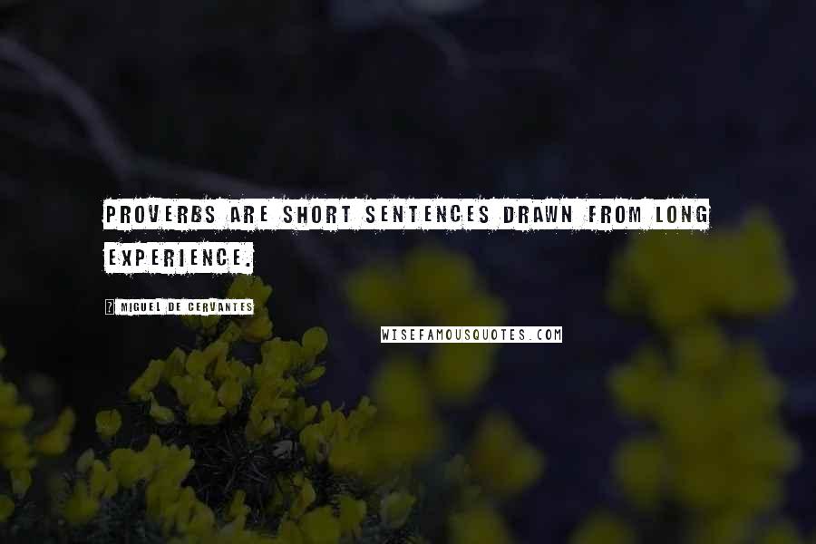 Miguel De Cervantes Quotes: Proverbs are short sentences drawn from long experience.