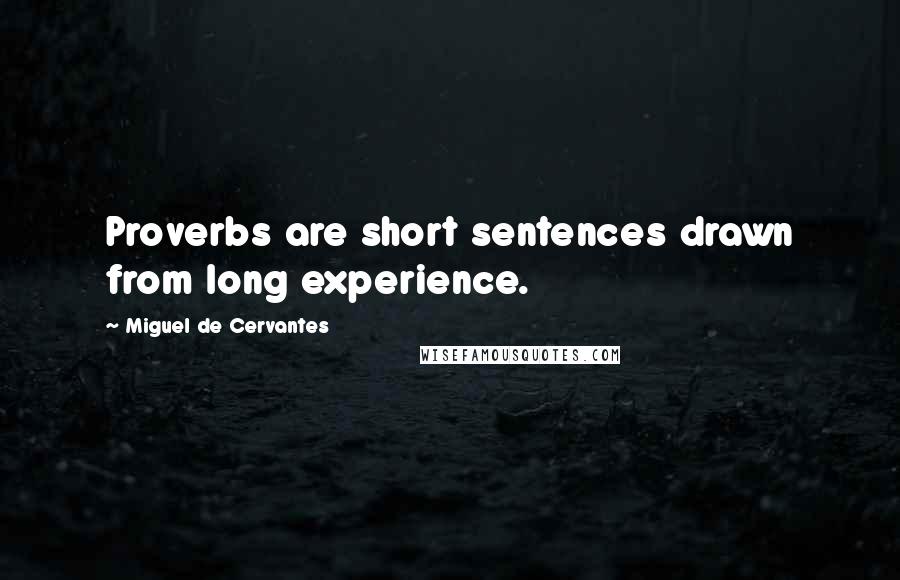 Miguel De Cervantes Quotes: Proverbs are short sentences drawn from long experience.
