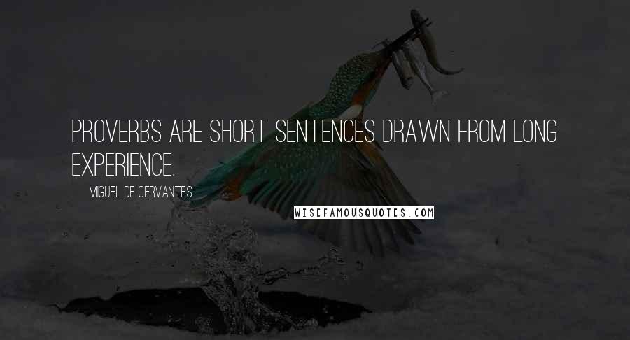 Miguel De Cervantes Quotes: Proverbs are short sentences drawn from long experience.