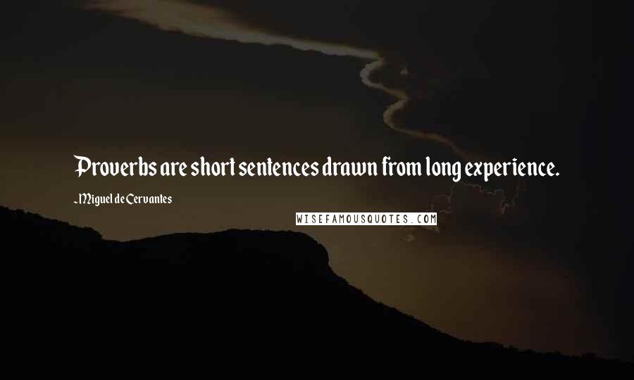 Miguel De Cervantes Quotes: Proverbs are short sentences drawn from long experience.