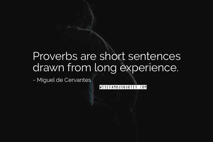 Miguel De Cervantes Quotes: Proverbs are short sentences drawn from long experience.