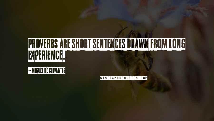 Miguel De Cervantes Quotes: Proverbs are short sentences drawn from long experience.
