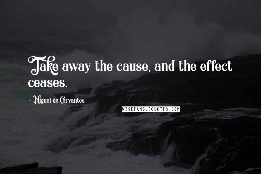 Miguel De Cervantes Quotes: Take away the cause, and the effect ceases.