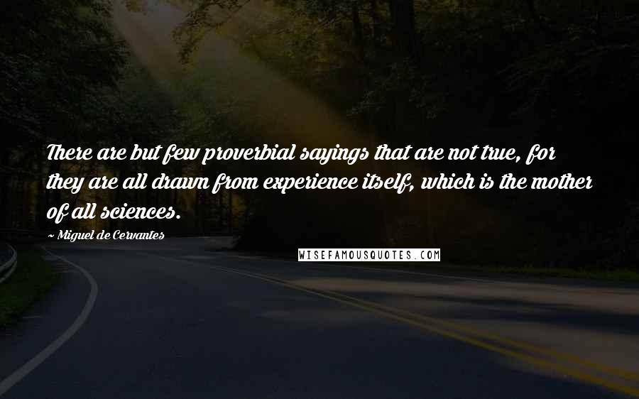 Miguel De Cervantes Quotes: There are but few proverbial sayings that are not true, for they are all drawn from experience itself, which is the mother of all sciences.