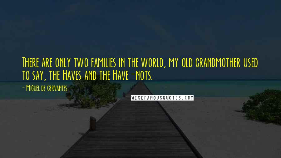 Miguel De Cervantes Quotes: There are only two families in the world, my old grandmother used to say, the Haves and the Have-nots.