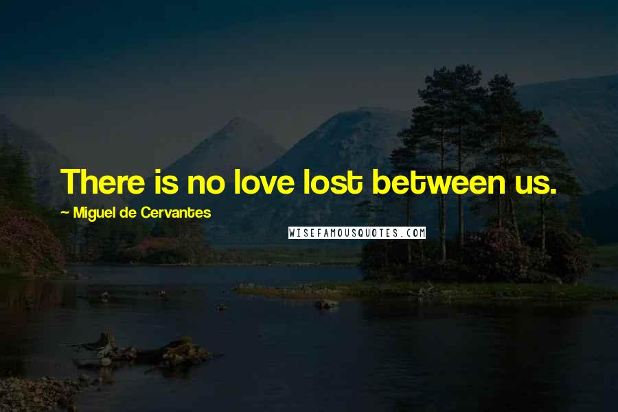 Miguel De Cervantes Quotes: There is no love lost between us.