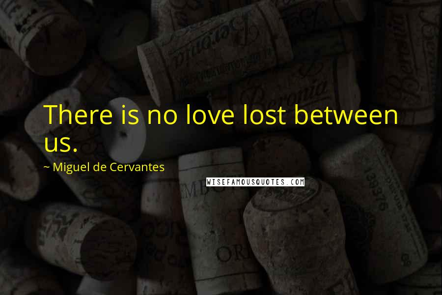 Miguel De Cervantes Quotes: There is no love lost between us.