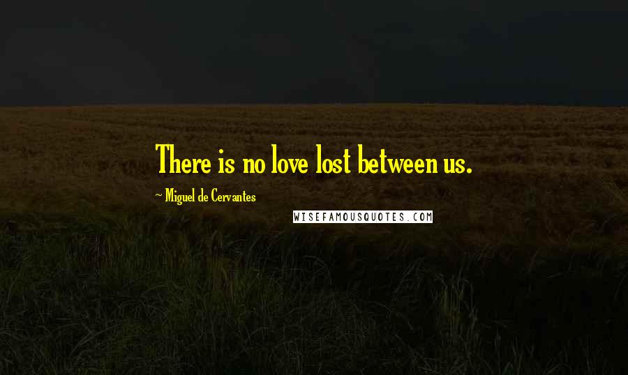 Miguel De Cervantes Quotes: There is no love lost between us.
