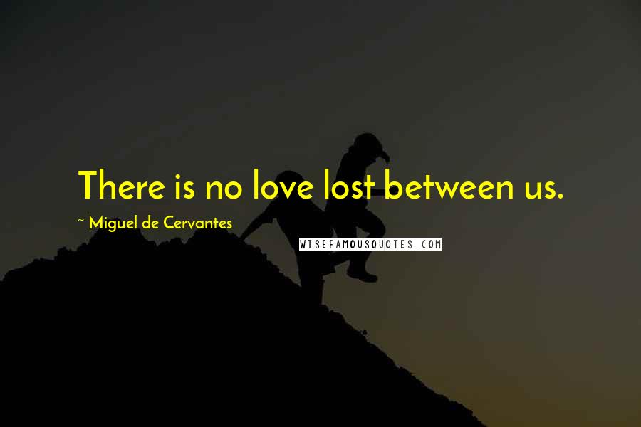 Miguel De Cervantes Quotes: There is no love lost between us.