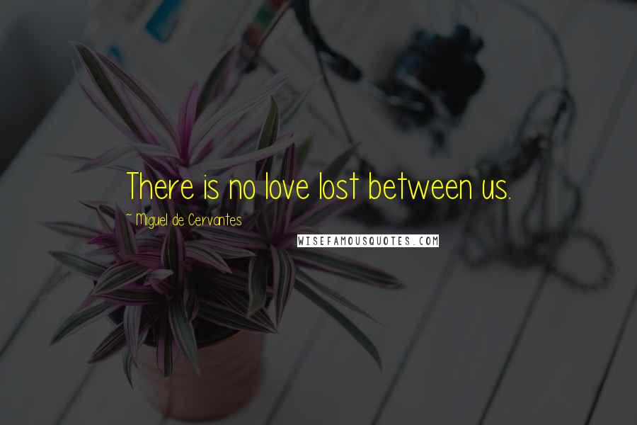 Miguel De Cervantes Quotes: There is no love lost between us.