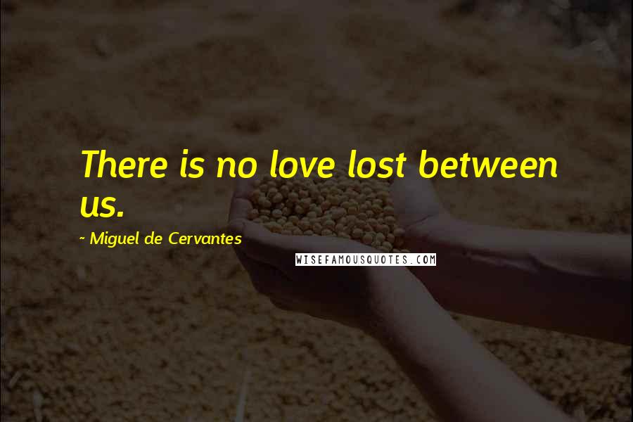 Miguel De Cervantes Quotes: There is no love lost between us.