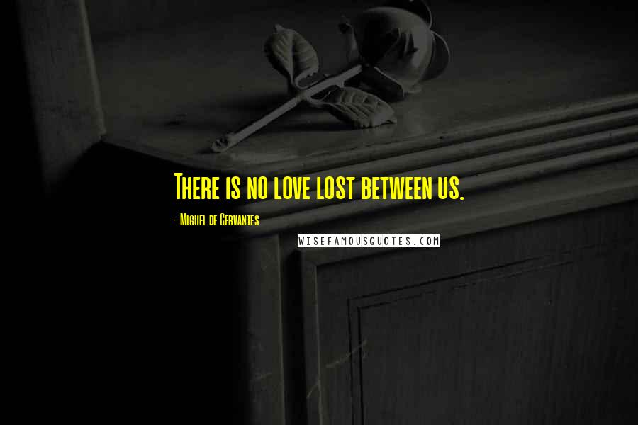 Miguel De Cervantes Quotes: There is no love lost between us.