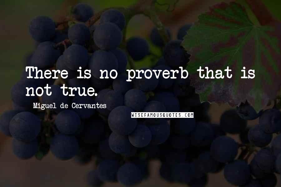 Miguel De Cervantes Quotes: There is no proverb that is not true.